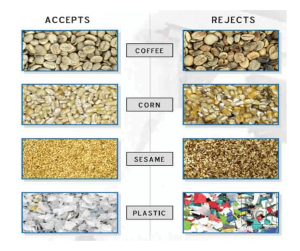 Satake PIKASEN Alpha – Compact RGB Coffee & Grain Sorter | Baruch Coffea - Image 2